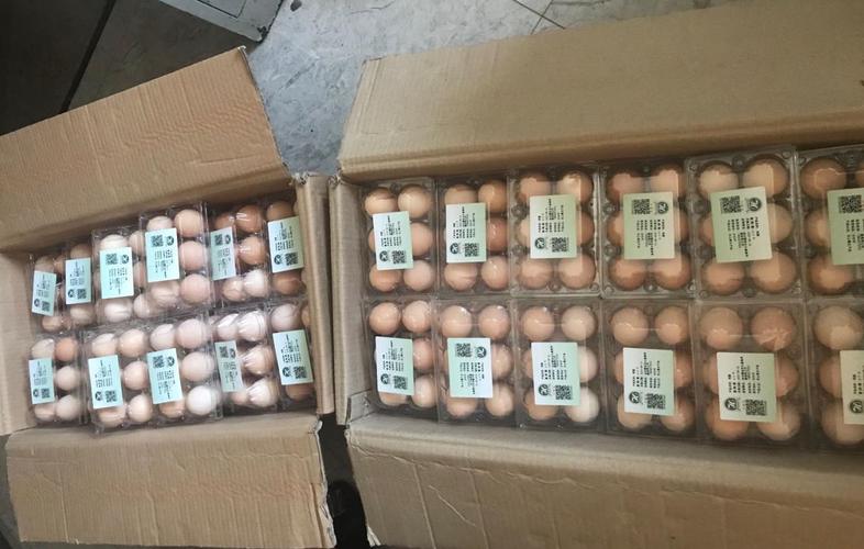 鸡蛋贴上"身份证"——食用农产品合格证